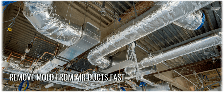 Air Duct Mold Removal in East Windsor NJ